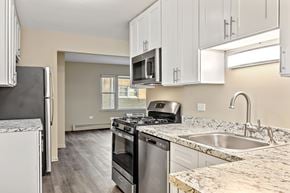 Lombard apartment for rent - A kitchen with a stainless steel dishwasher and oven.