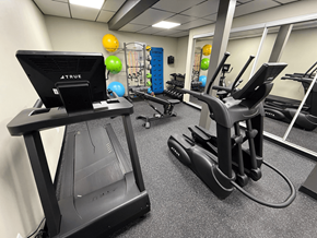 Chicago apartment for rent - A gym with a treadmill, exercise balls, and a treadmill desk.