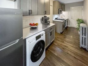 Chicago apartment for rent - Dakin Court Studio Kitchen