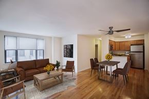 Chicago apartment for rent - Dining and living space