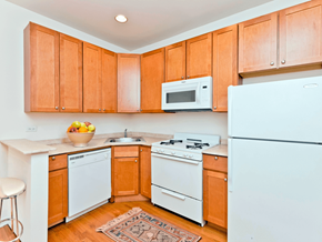 Chicago apartment for rent - Harry Frank Kitchen