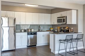 Chicago apartment for rent - Kitchen Breakfast Bar