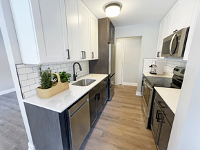 Chicago apartment for rent - Kitchen