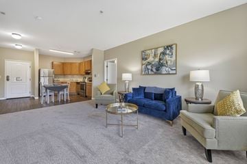 Vancouver apartment for rent - A living room with a blue couch and a grey rug.