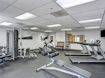 Gym view