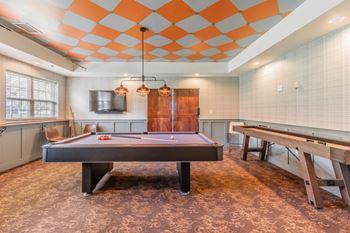 Recreation room with pool table and shuffleboard