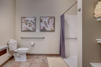Accessible bathroom with grab bars and shower