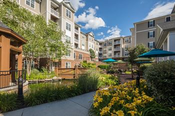 Courtyard pond with wooden bridge and yellow daylilies