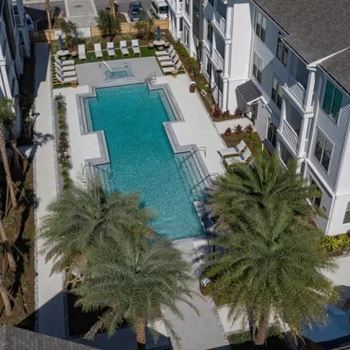 A swimming pool surrounded by palm trees and white buildings.