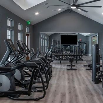 A gym with treadmills, elliptical machines, and a television.