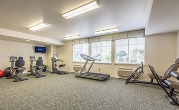 Modern gym