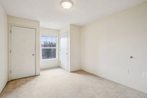 Vadnais Heights apartment for rent - A room with a carpeted floor and a window showing trees and a building outside.
