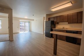 Rochester apartment for rent - A kitchen with wooden cabinets and a black refrigerator.