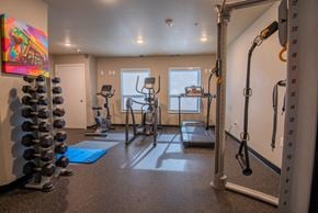 Eagan apartment for rent - A well-equipped home gym with a variety of exercise equipment.