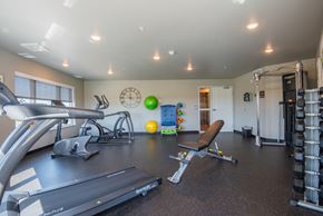 Hugo apartment for rent - A gym with treadmills, weights, and exercise balls.