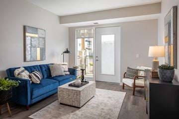Oakdale apartment for rent - A living room with a blue couch and a grey rug.