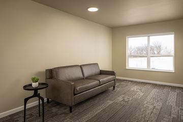 Rochester apartment for rent - A living room with a brown couch, a small table with a plant, and a carpet.