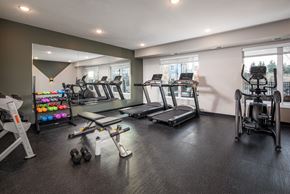 Oakdale apartment for rent - A spacious gym with treadmills, exercise bikes, and dumbbells.