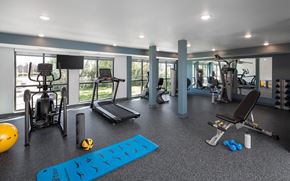 Bloomington apartment for rent - a gym with cardio equipment and weights on the floor