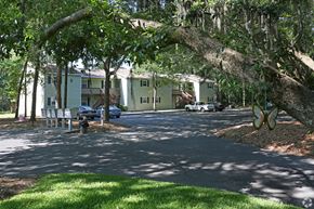Valdosta apartment for rent - a city street with a large tree in front of a building