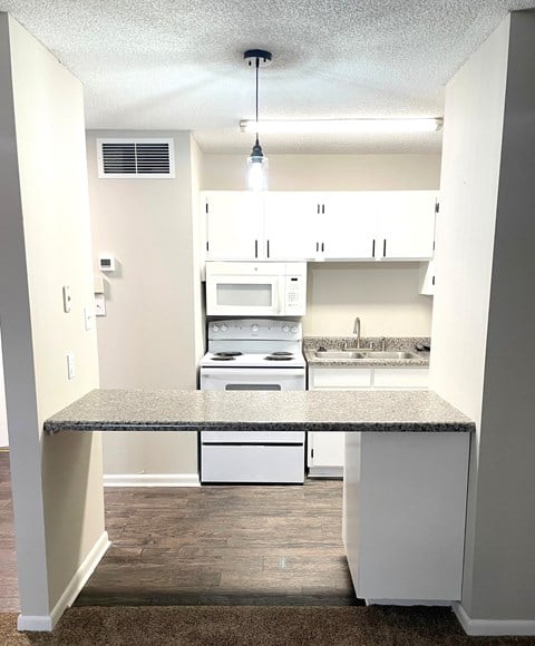 Floor plan for 1 bed, 1 bath, 550 sqft