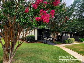 Albany apartment for rent - a small house with pink flowering trees in front of it