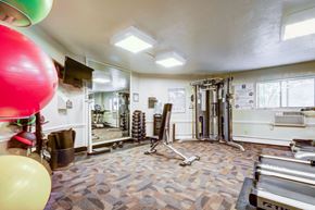 Rocky River apartment for rent - A gym with a variety of equipment including a treadmill, weights, and a squat rack.