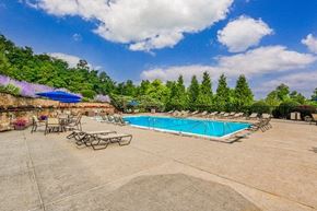 Pittsburgh apartment for rent - A large outdoor swimming pool surrounded by trees and lounge chairs.