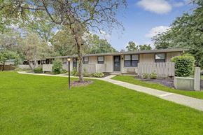 Cuyahoga Falls apartment for rent - A tree stands in a grassy area in front of a building.
