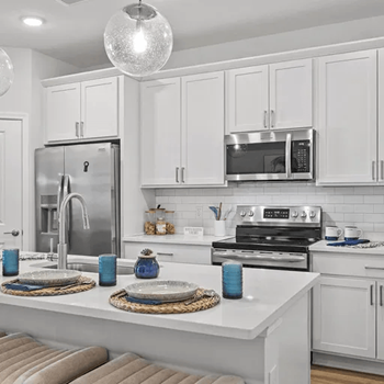 Stainless steel appliances and quartz counters