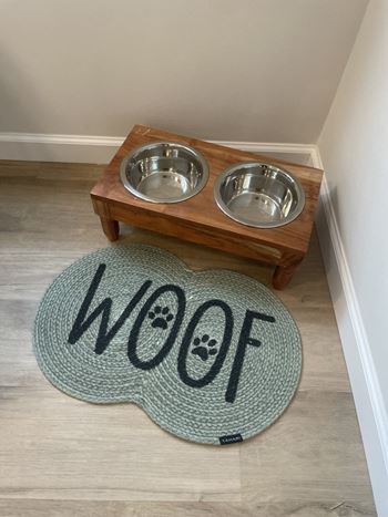 Dog wash area