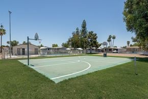 Glendale apartment for rent - A basketball court with a green surface and white lines is surrounded by a fence and palm trees.