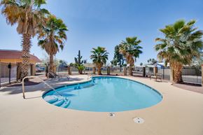 Tucson apartment for rent - A swimming pool surrounded by palm trees.