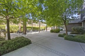 Bakersfield apartment for rent - A tree-lined walkway leads to a building.