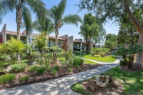Fresno apartment for rent - a street view of a community with trees and plants