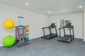 Crestview apartment for rent - A gym with two treadmills and exercise balls.