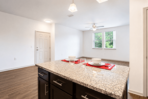 Spring Hill apartment for rent - A kitchen with a granite countertop and black cabinets.