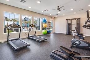 Cocoa apartment for rent - A gym with treadmills, elliptical machines, and a weight machine.