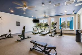 Crystal River apartment for rent - A gym with a variety of equipment including treadmills, weights, and a bench press.