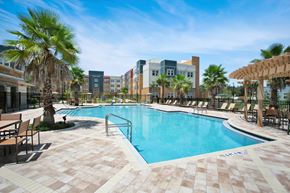 Holiday apartment for rent - A pool surrounded by palm trees and lounge chairs.