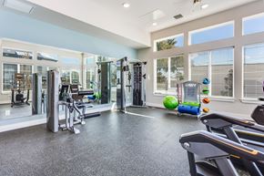 Tallahassee apartment for rent - the gym at the enclave at woodbridge apartments in sugar land, tx