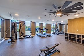 Homestead apartment for rent - A spacious gym with a variety of equipment including treadmills, weights, and a bench press.