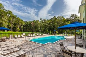 Brooksville apartment for rent - A pool surrounded by chairs and umbrellas.
