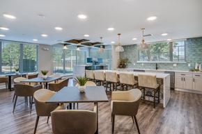 Bradenton apartment for rent - A modern dining room with a long table and chairs.