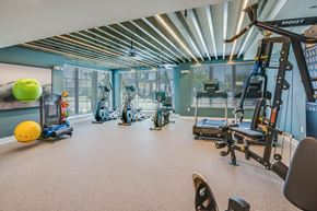 Bradenton apartment for rent - A gym with a variety of equipment including a treadmill, weights, and a bench press.