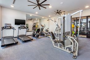 Palmetto Bay apartment for rent - A gym with treadmills, elliptical machines, and other exercise equipment.