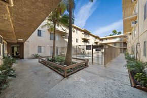 Van Nuys apartment for rent - A courtyard with a palm tree and a fence.