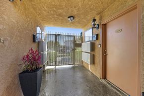 N. Hollywood apartment for rent - A hallway with a brown door and a black planter on the floor.