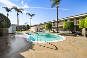 Van Nuys apartment for rent - A pool surrounded by palm trees and bushes.
