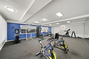 Van Nuys apartment for rent - A gym with a blue wall and a variety of exercise equipment.